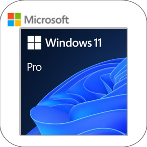 windows 11 profesional  32 64 bits